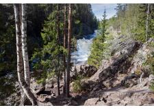 Галерея фото