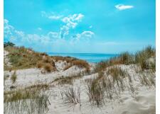 Галерея фото