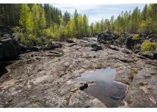 Галерея фото